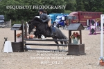 BPP_0421