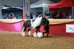 SBM_18463