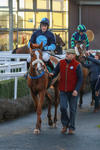 281224-Race 5-Poetry Man-1735