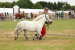 SBM_03511