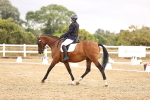 SBM_002014