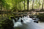 The Stepping Stones - Tollymore Forest Park, County Down.