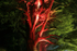 Westonbirt _WB033