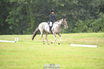 Dressage D70 portfolio