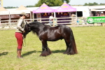 SBM_08592