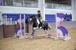 SBM_000738