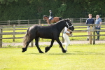 SBM_00697