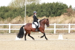 SBM_018214