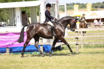 SBM_17999
