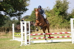 3E7A2006