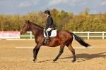 SBM_002823