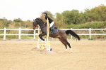 SBM_007911