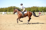 SBM_003335