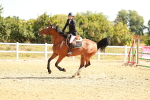 SBM_002616