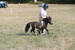 WJ6_6826