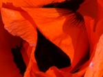 P1080017JPG