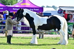 SBM_12185