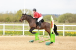SBM_003667
