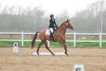 SBM_003334