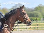 BPP_6227