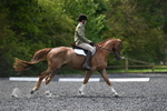 WJ5_9981