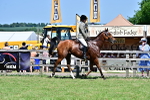 SBM_18132