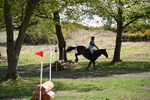 WJ6_9865