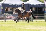 SBM_16393