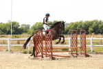SBM_003956