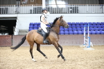 SBM_003034