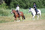 WJ7_3612