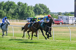 150726-Race 5-Naval Light-3533