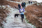 Sale Fell-51