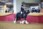 SBM_14885
