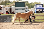 SBM_04565