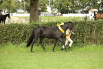 SBM_75357