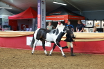SBM_18444