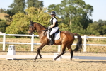 SBM_007854