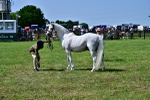 SBM_03892