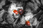 Selective Chestnuts