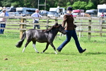 SBM_03489