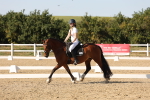 SBM_006963