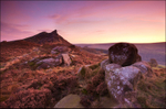Glowing Dawn on Ramshaw Rocks