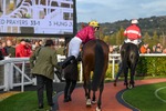 241025-Race 7-Ideal Des Bordes-5800