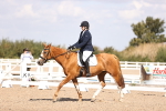 SBM_03552