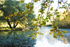 ACP_5244-1