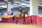 SBM_23493