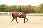SBM_002331