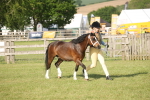 SBM_10357