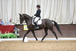 Class 13 - AM5 Bronze 15.12-15.44 portfolio